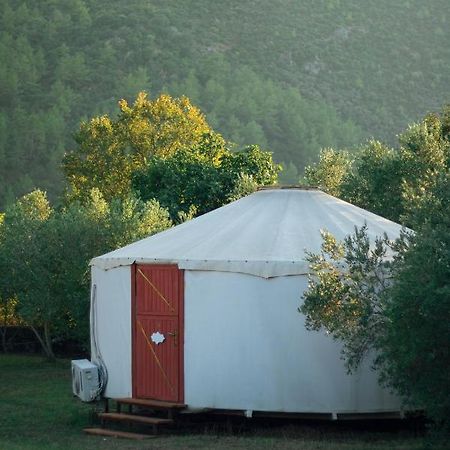 מלון Kayakoy Yol Glamping מראה חיצוני תמונה